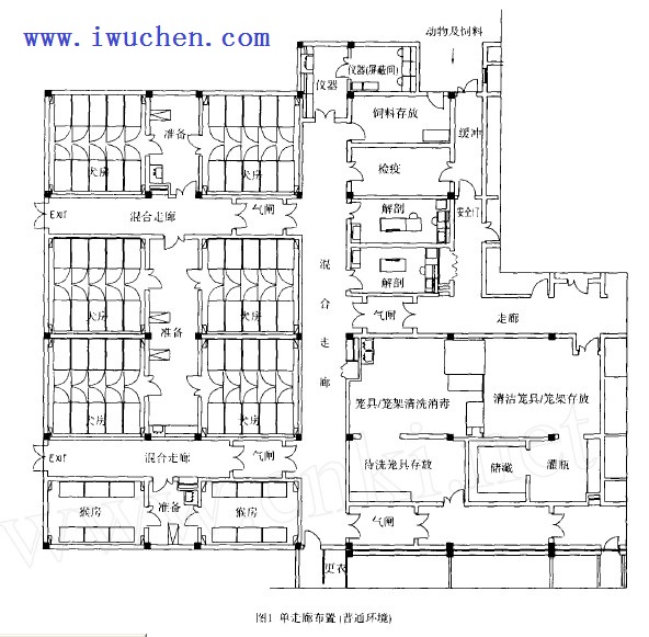 spf動(dòng)物房工程布置圖